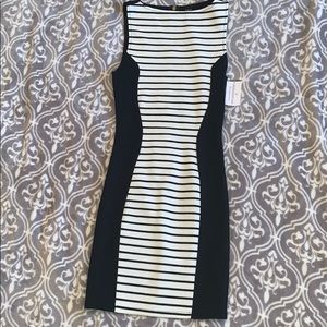 Windsor Dress 👗